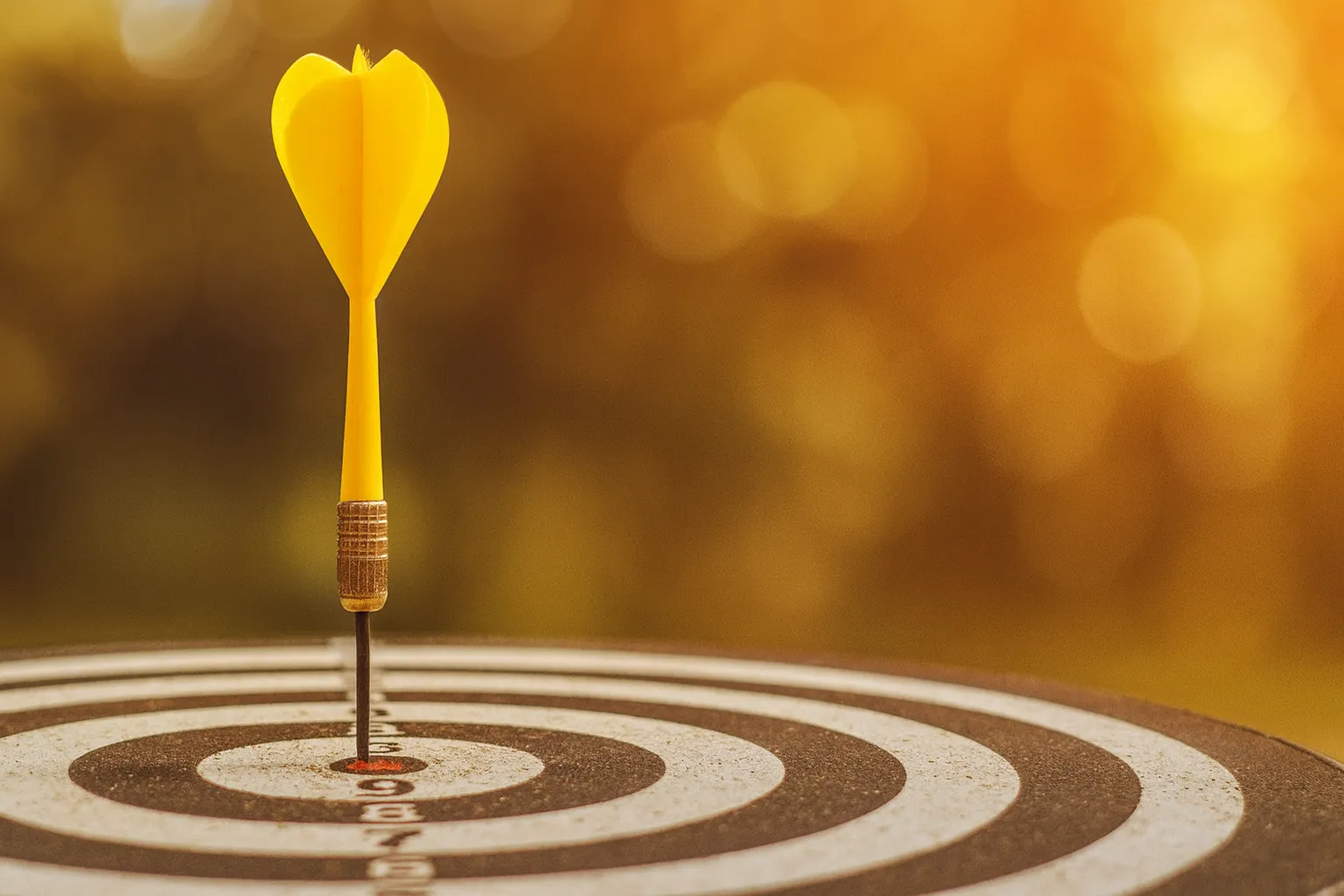 C# da più valore al lavoro rispetto alle mere performance C++.